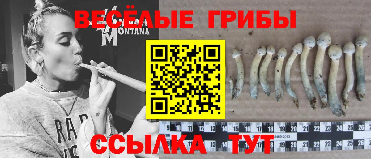 Галлюциногенные грибы Magic Shrooms Мелеуз